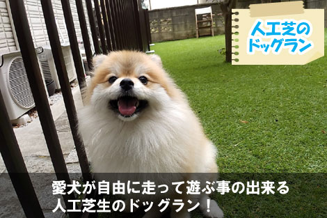 愛犬が自由に走って遊ぶ事の出来る人工芝生のドッグラン！～砂利の庭をおしゃれに雑草対策,砂利の庭を変えたい,土の庭どうにかしたい,土の庭雑草対策,砂利リフォーム