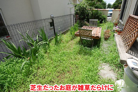 雑草にお困りのお庭がオシャレで可愛いレンガのお庭に 神奈川県川崎市
