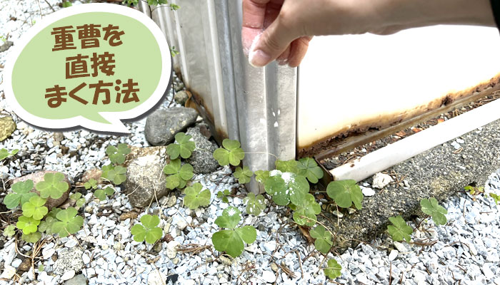 重曹を使った雑草対策の2つの方法 (1) 粉末を直接まく方法～重曹,効果,雑草対策,使い方,やり方,方法,枯れる,駆除,除草,メリット,デメリット,濃度,安全性,環境