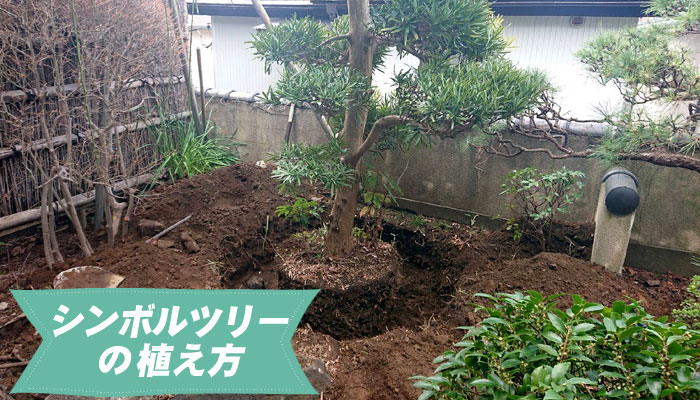 シンボルツリーの植え方～おしゃれで管理が楽な庭木の選び方とポイント／シンボルツリー,庭木,植木,おしゃれ,選び方,植え方,目隠し,費用,メンテナンス,常緑樹,花が咲く,実がなる,落ち葉が少ない,病害虫に強い