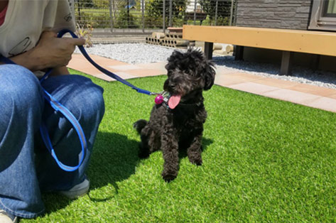 神奈川県茅ヶ崎市S様 人工芝とタイルで雑草対策!愛犬のドッグガーデン