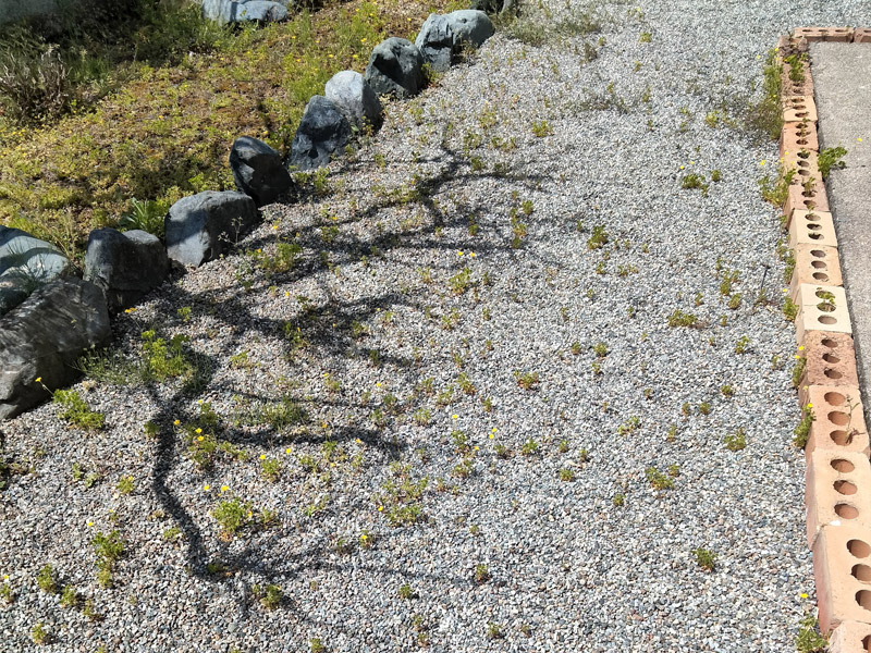 神奈川県 秦野市 中古住宅購入 雑草対策 庭工事 砂利を敷いているのに草が生える