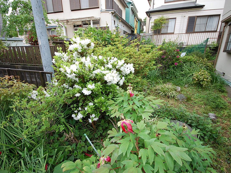 横浜市M様邸 1回目施工前・雑草に覆われた庭