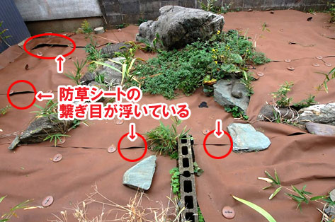 防草シートの繋ぎ目が浮いています～横浜市 ノーメンテナンスの防草シート・砂利敷き雑草対策工事 無人・誰も住んでいない空き家のお庭のおすすめ管理法
