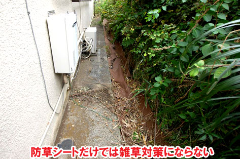 防草シートだけでは雑草対策にならない～横浜市 ノーメンテナンスの防草シート・砂利敷き雑草対策工事 無人・誰も住んでいない空き家のお庭のおすすめ管理法