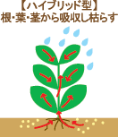 除草剤の種類～ハイブリッド型/根・葉・茎から吸収し枯らす